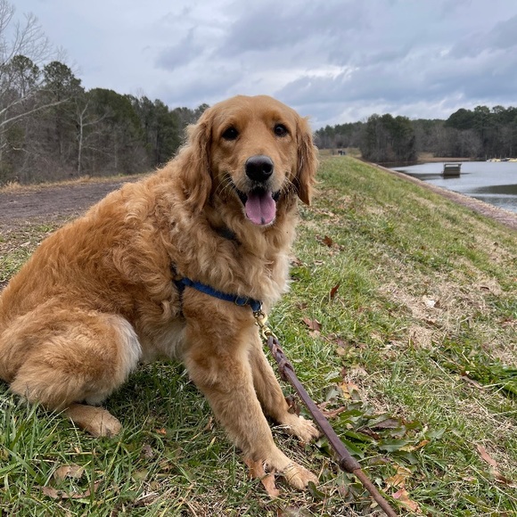 Meet your Posher, Bryce - Picture 1 of 1